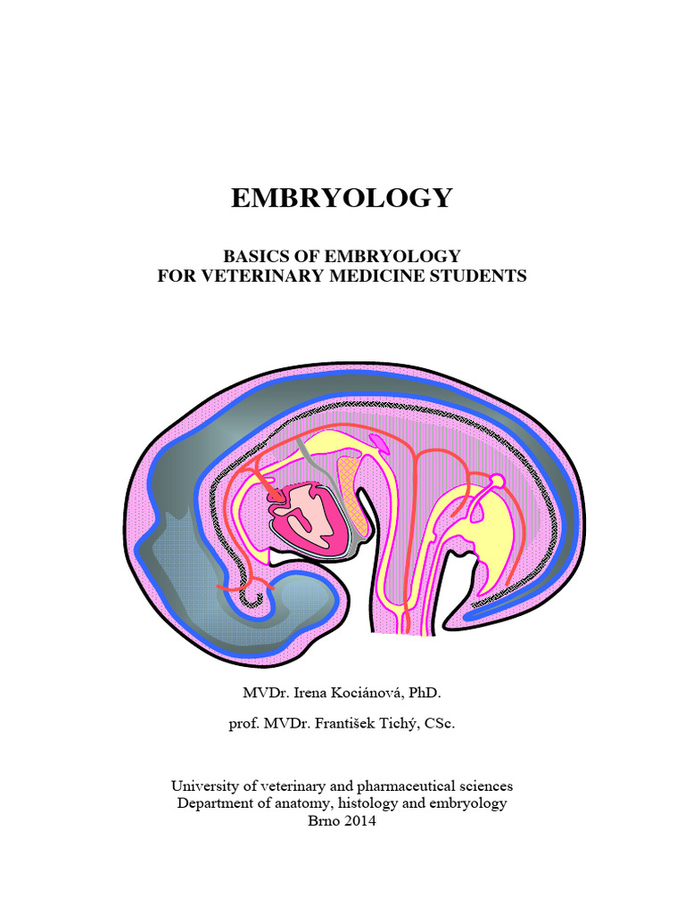 Veterinary Embryology Basics | PDF | Fertilisation | Menstrual Cycle