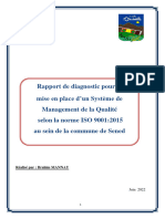 Rapport Audit Diagnostic