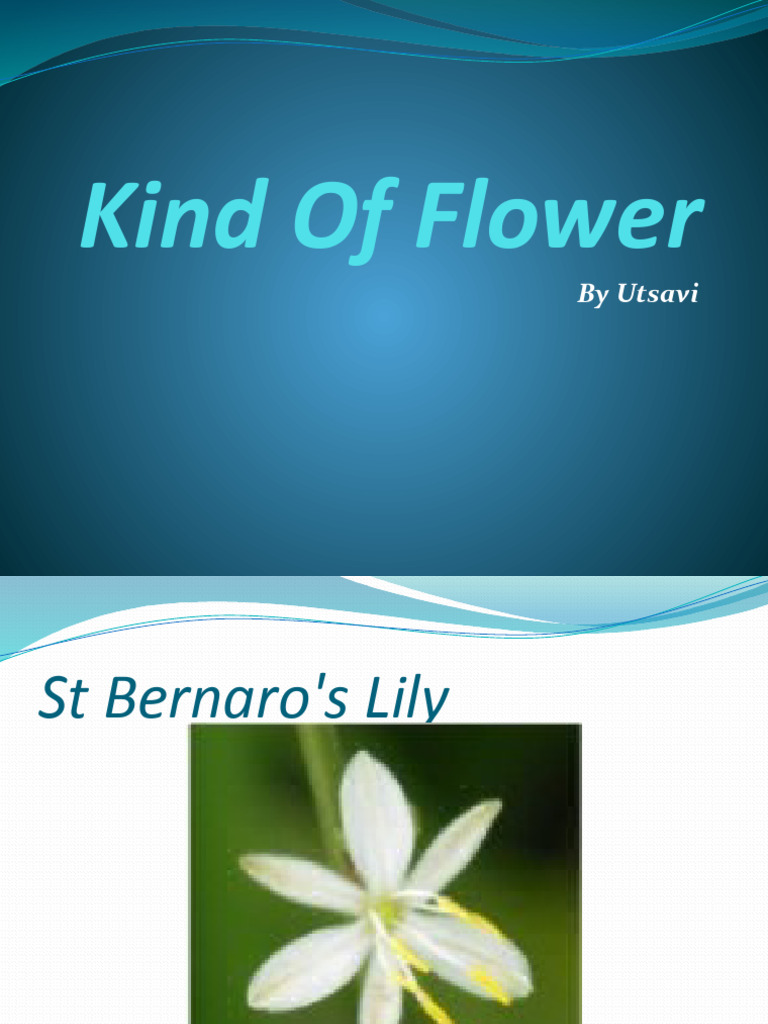 Types of Flowers Overview | PDF | Home & Garden | Science & Mathematics