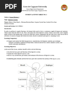 G5 4.2 Digestive System Worksheets