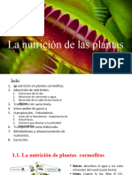 Tema 5. NutriciÃ N en Plantas