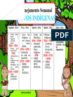 POVOSINDIGENAS