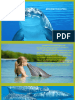 делфините