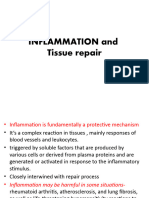 Inflammation