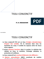 5 TissuConjonctif Sem1 22 23