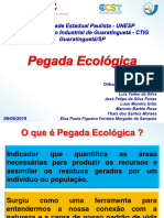 Pegada Ecologica