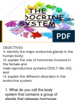 Endocrine System ppt1