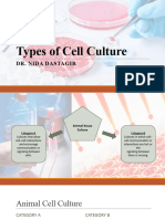 6 Types of Cell Culture-2024