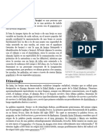 PDF 24