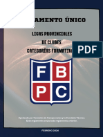 Reglamento Liga Provincial de Clubes Formativa