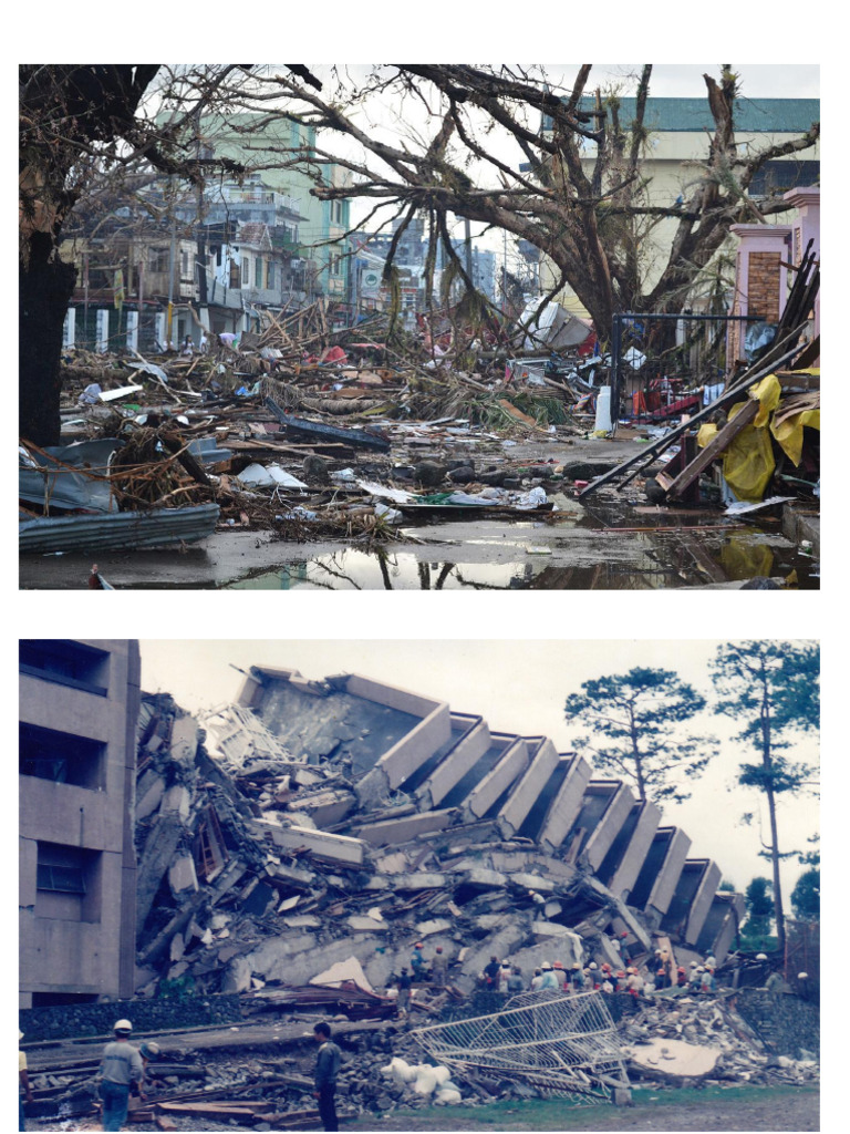CALAMITIES | PDF