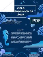 Ciclo Biogeoquímico Da Água