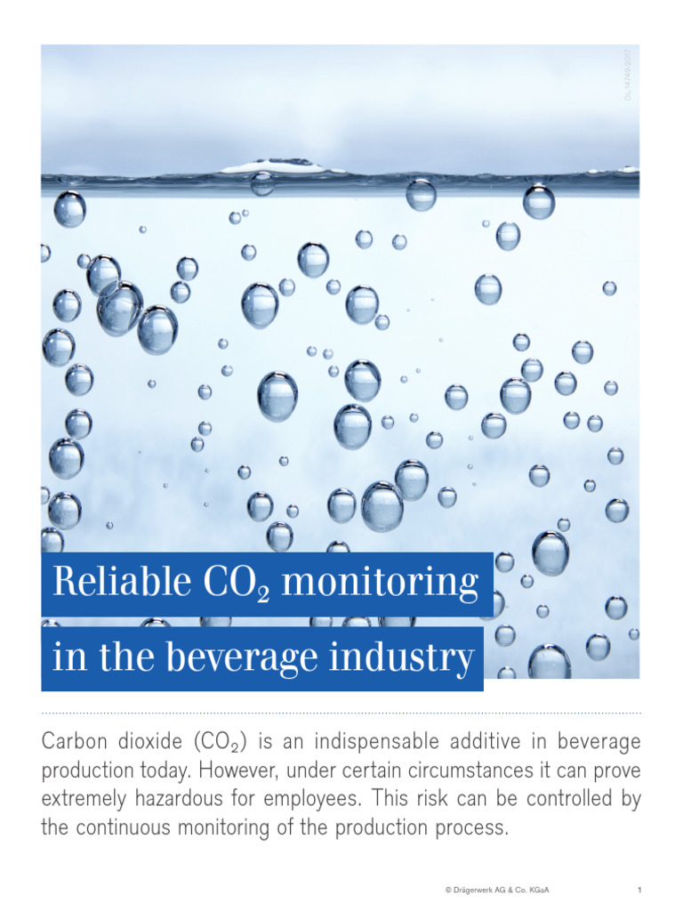 Carbon Dioxide Food and Beverage | PDF | Carbon Dioxide | Chemical ...