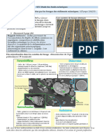 Cours Fonds Oceaniques