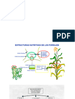 Nutricion Al Pastoreo1