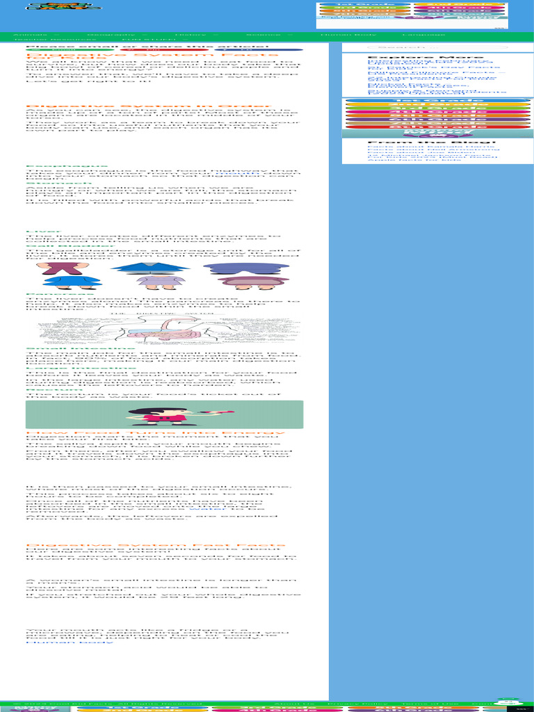100 FUN FACTS ABOUT THE DIGESTIVE SYSTEM intelligence overview
