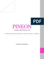 Pineon Global Resources LTD