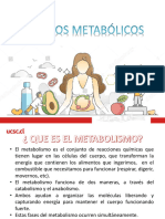 Metabolismo .