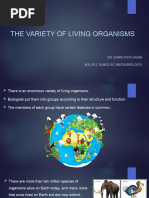 Class 6 Science Chapter 2 Diversity in the Living World | PDF | Leaf ...
