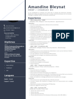 CV Bleynat Amandine - pdf.210042532