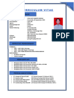 Curriculum Vitae