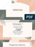KLP 3 Mycoriza