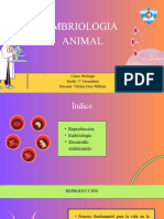 Embriologia Animal 3° Sec