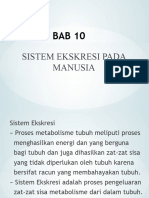 BAB 10 Sistem Ekskresi