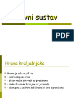 11c-Probavni Sustav