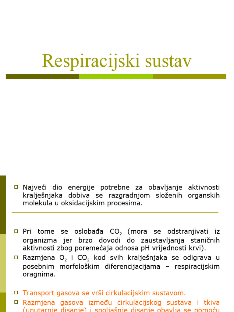 12-Respiracijski Sustav | PDF