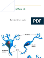 VIII-Živčani Sustav II