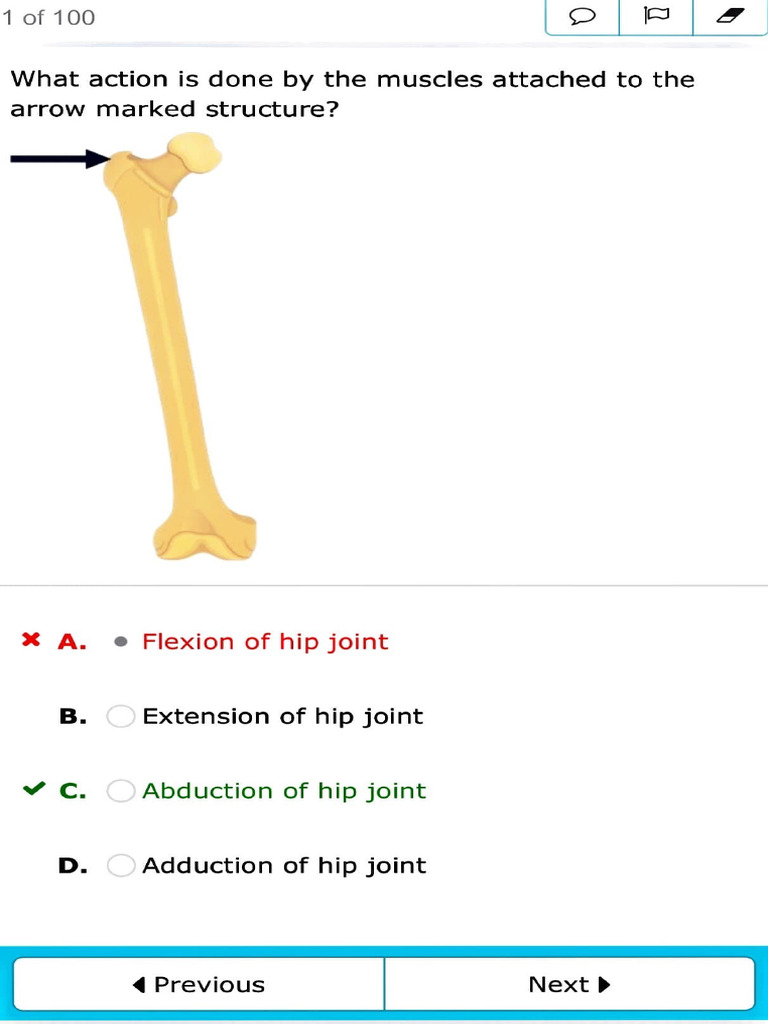 Anat Subwise Test Part 1 | PDF