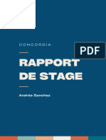 Rapport de Stage Professionnel Moderne Coloré