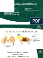 Hormonas Corticosuprarenales - 1