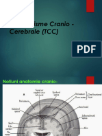 TCC Noi 2020 Curs 1+2