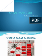 (4)_SARAF MANUSIA
