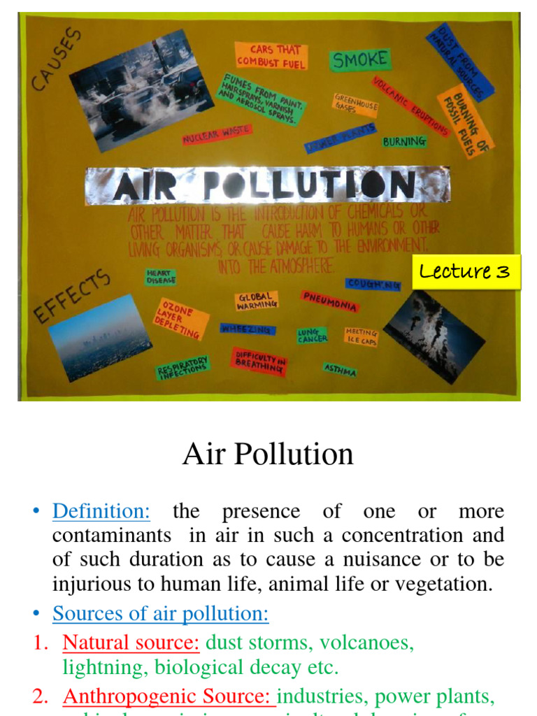 Understanding Air Pollution Sources & Effects | PDF | Air Pollution | Smog
