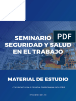Diapositivas Seminario Sem5sst260324r