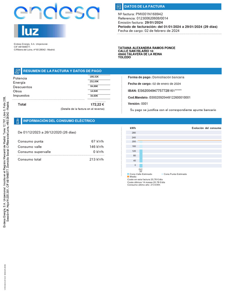 Factura de electricidad Endesa enero 2024 | PDF | Ingenieria Eléctrica ...