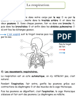 Trace Écrite CM2 La Respiration