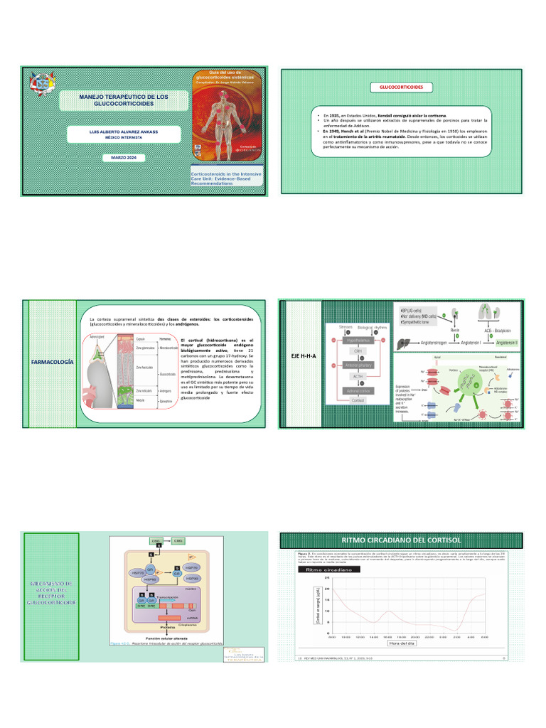 manejo-terap-utico-de-los-glucocorticoides-2024-pdf-inflamaci-n