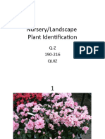 S Nursery Plant ID Q Z Quiz