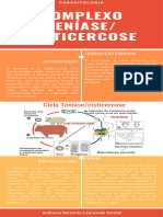 Infografico AP2