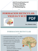 Formacion Reticular Vigilia y Sueño