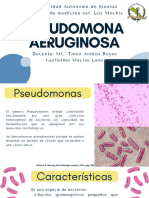 Pseudomona Aeruginosa Guillermo Macías 4-3