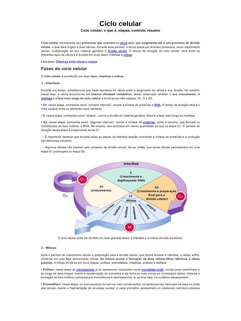 Ciclo Celular- o Que é, Etapas, Controle, Resumo - Biologia Net | PDF ...