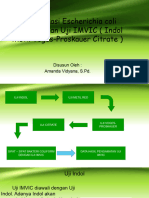 Identifikasi Escherichia Coli Menggunakan Uji IMVIC