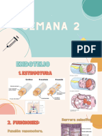 Vias de Inoculacion