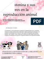 Exp Reproduccion Animal