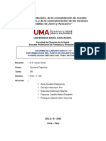 PDF Informe 7
